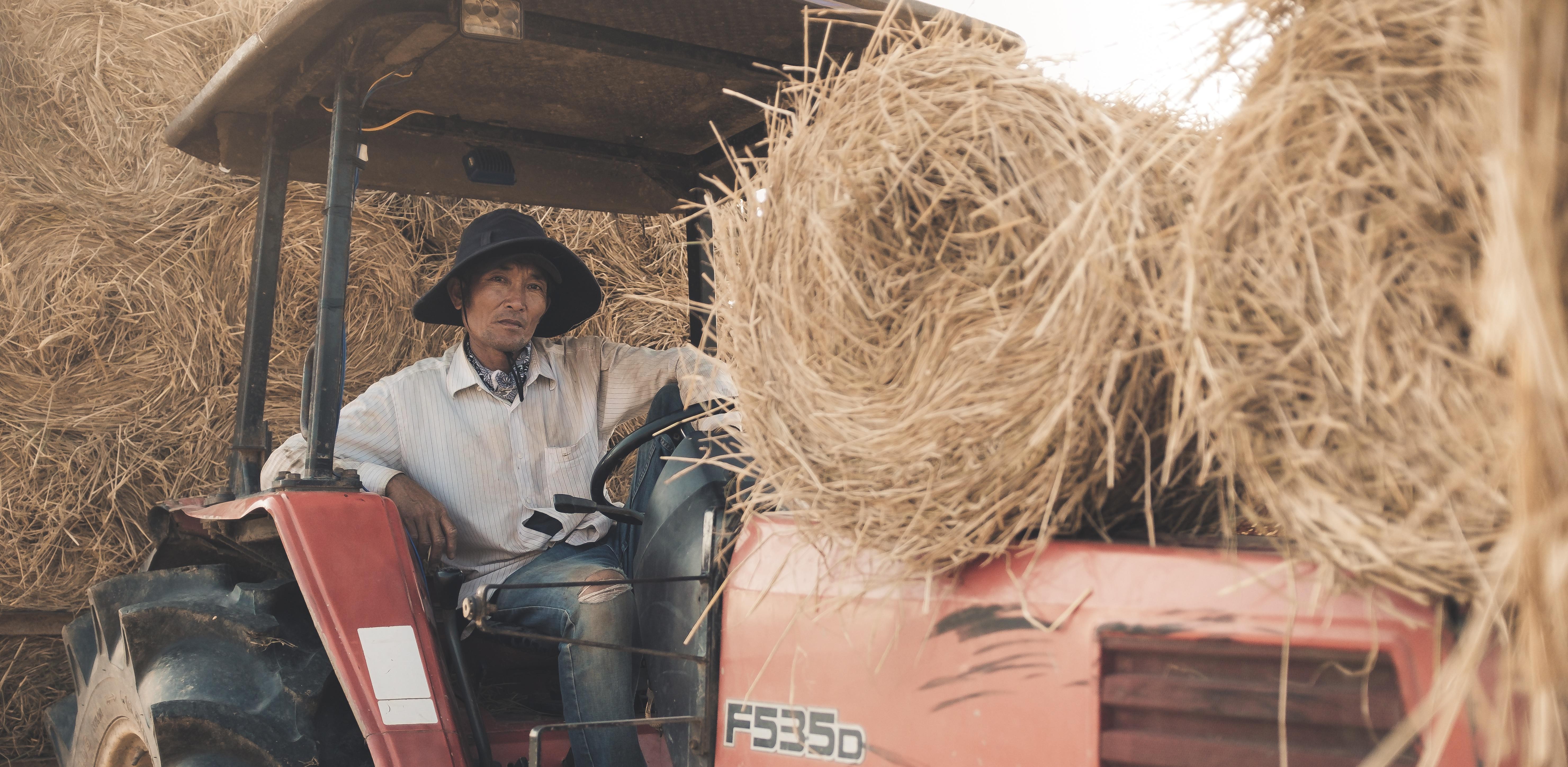 Nông nghiệp bền vững Việt Nam